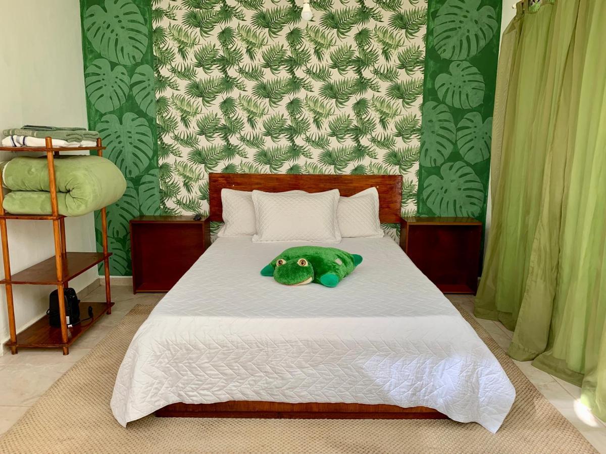 Pousada Serra Das Araucarias Petfriendly - Caofe Da Manha Pet São Roque Exterior foto