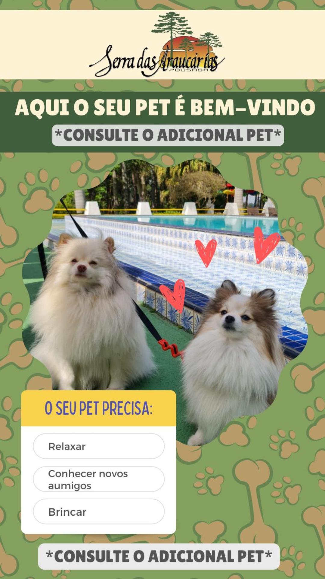 Pousada Serra Das Araucarias Petfriendly - Caofe Da Manha Pet São Roque Exterior foto